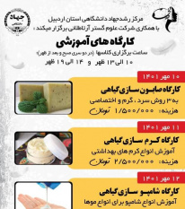 برگزاری کارگاه های آموزشی مهارتی در مرکز رشد جهاددانشگاهی اردبیل